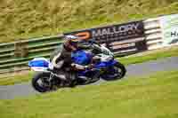 enduro-digital-images;event-digital-images;eventdigitalimages;mallory-park;mallory-park-photographs;mallory-park-trackday;mallory-park-trackday-photographs;no-limits-trackdays;peter-wileman-photography;racing-digital-images;trackday-digital-images;trackday-photos